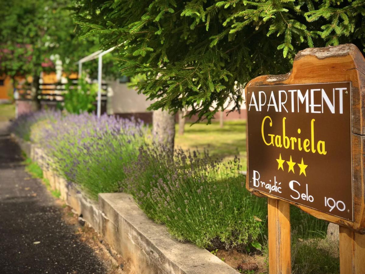 רקוביצה Apartment Gabriela מראה חיצוני תמונה